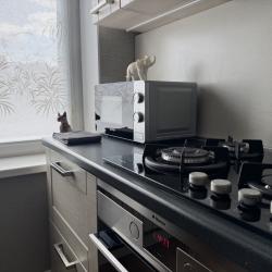 1-комнатные апартаменты улучшенные ул. Родионова, д. 180