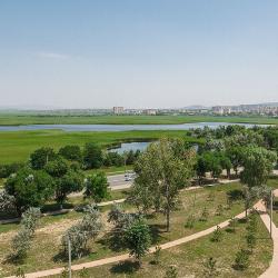 SUNPARCO Hotel Ultra all inclusive (САНПАРКО Ультра всё включено) — ed53ad6af9bd4cddcc41282e7a73ad4d