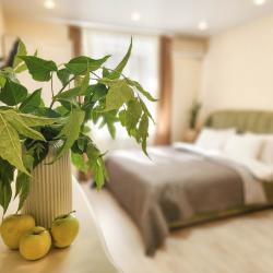 1-комнатные апартаменты улучшенные