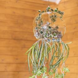 Коттедж стандарт