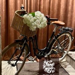 Фото Отель Диво