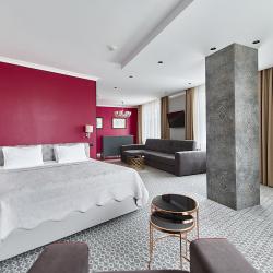 Номер студия премиум с 1 двуспальной кроватью