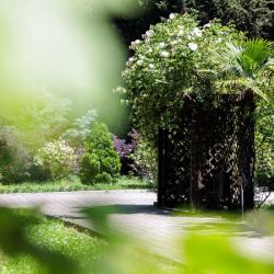 Фото Отель Бургас