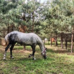 Фото Отель Круиз Вилладж