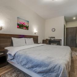 Фото Отель Пик