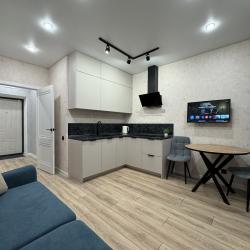 4-местные 1-комнатные апартаменты улучшенные ул Республики 204 к 7