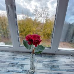 Фото Отель ТЦ АРКАДА студия
