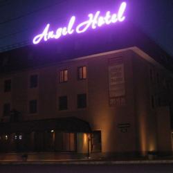 Фото Отель Angel Hotel (Ангел)
