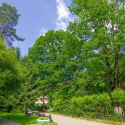 фото 8 Переделкино Санаторный центр