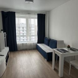 1-комнатные апартаменты стандарт 229