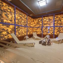 Фото Отель Wellness Hotel and Spa (Велнесс)