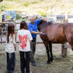 Фото Парк-отель ий