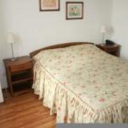 Номер люкс с 1 двуспальной кроватью (с завтраком)