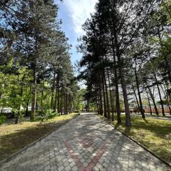 Фото Отель Ателика Тешебс