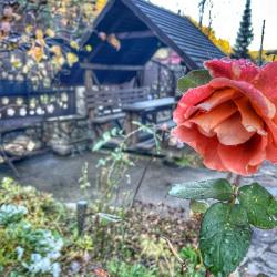 Фото Отель Радевичи