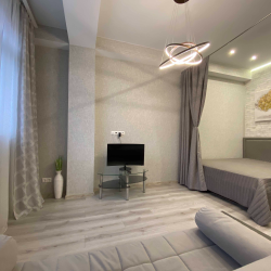 Апартаменты студия г. Сочи, ул. Крымская 89, кв. 830.