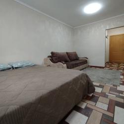 Фото Апартаменты на улице Димитрова 1