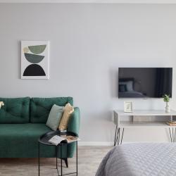 1-комнатные апартаменты студия RoomyRoom Ambassador