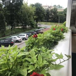 фото 77 Петровский Пассаж