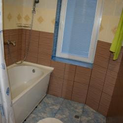 Русский лес — ee39258edf96bac4b6c9b2fec7119fae