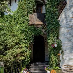 Фото Отель Метелица