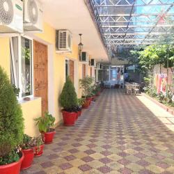 Фото Отель Дельфинчик