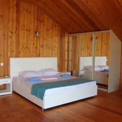 1-комнатные апартаменты люкс (мансарда)