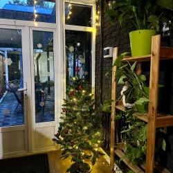 Фото Отель GreenWall (Гринволл)