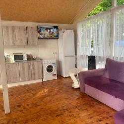 Фото Отель Усадьба Лесные домики