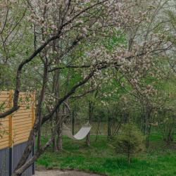 Фото Отель А-Шалаш Черноречье