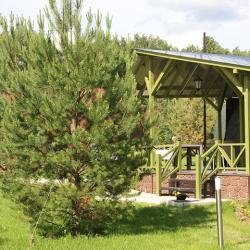 Фото Отель -Клаб