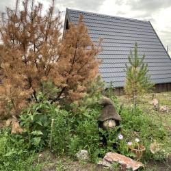 Фото Отель Hut house (Хат Хаус)