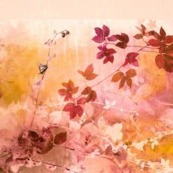 Фото Отель Шумак