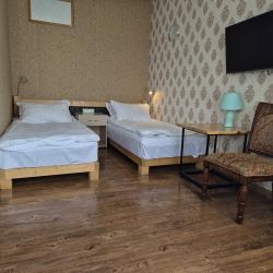 Комната люкс с 2 односпальными кроватями