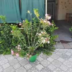 Фото Отель Город-Ок!