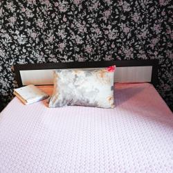 Фото Апартаменты на улице Лазо 37