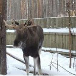 Фото Отель Усадьба