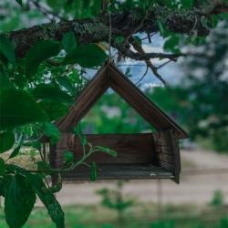 Фото Отель Villari (Виллари)