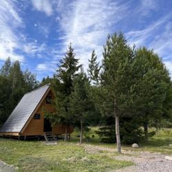 Фото Отель Klever House (Клевер Хаус) Лехтуси Парк