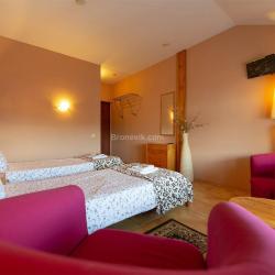 Фото Отель Родина