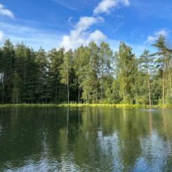Фото Отель Загородный дом с баней на дровах