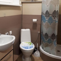 Фото Отель Сосновый бор