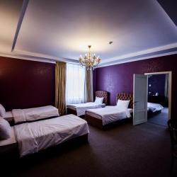 Фото Отель Victoria SPA (Виктория СПА)