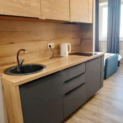 2-местные апартаменты студия