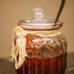 Фото Отель Dombay Winter Hall (Винтер Холл)