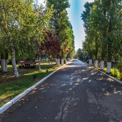 Фото Парк-отель Шинкар