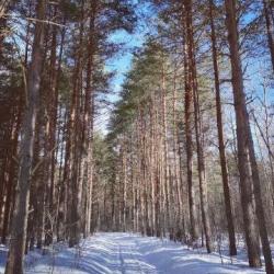 Фото Отель Лес и Луга