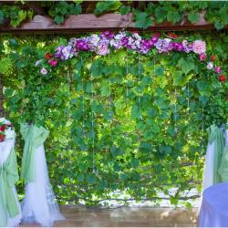 Фото Отель Эгоист клуб