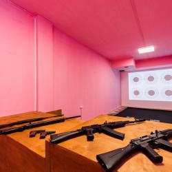 Фото Отель Ателика Гранд Ольгино