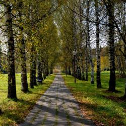 Фото Отель Загорские дали